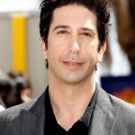 Madagascar 3 Europe's Most Wanted David Schwimmer