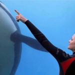 Rust & Bone 5