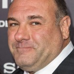 Zero Dark Thirty - James Gandolfini
