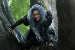 Into The Woods 13