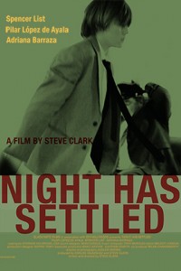 Night Has Settled Poster