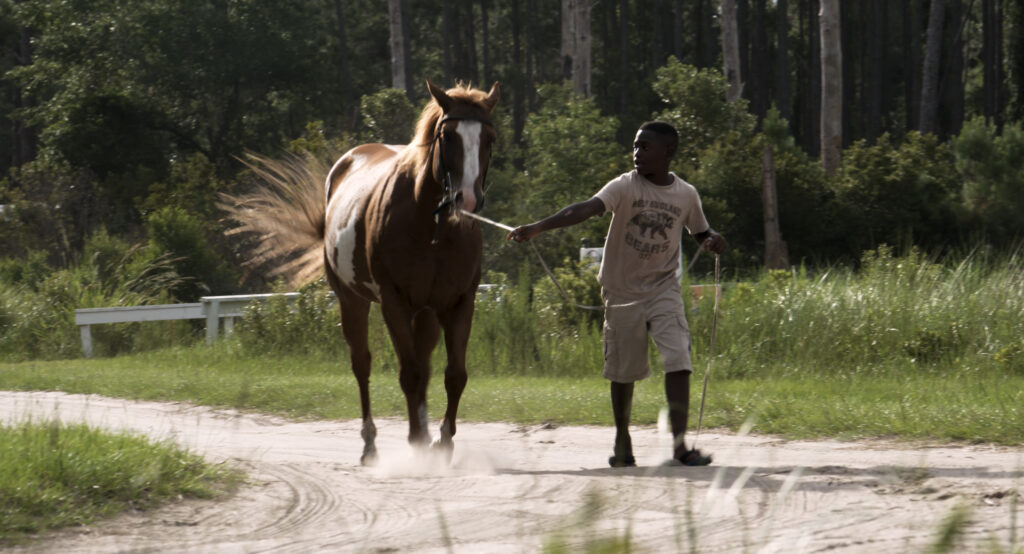 Sapelo